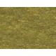 862 Gold