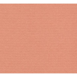 Sushi 1,4 x  81  x 102